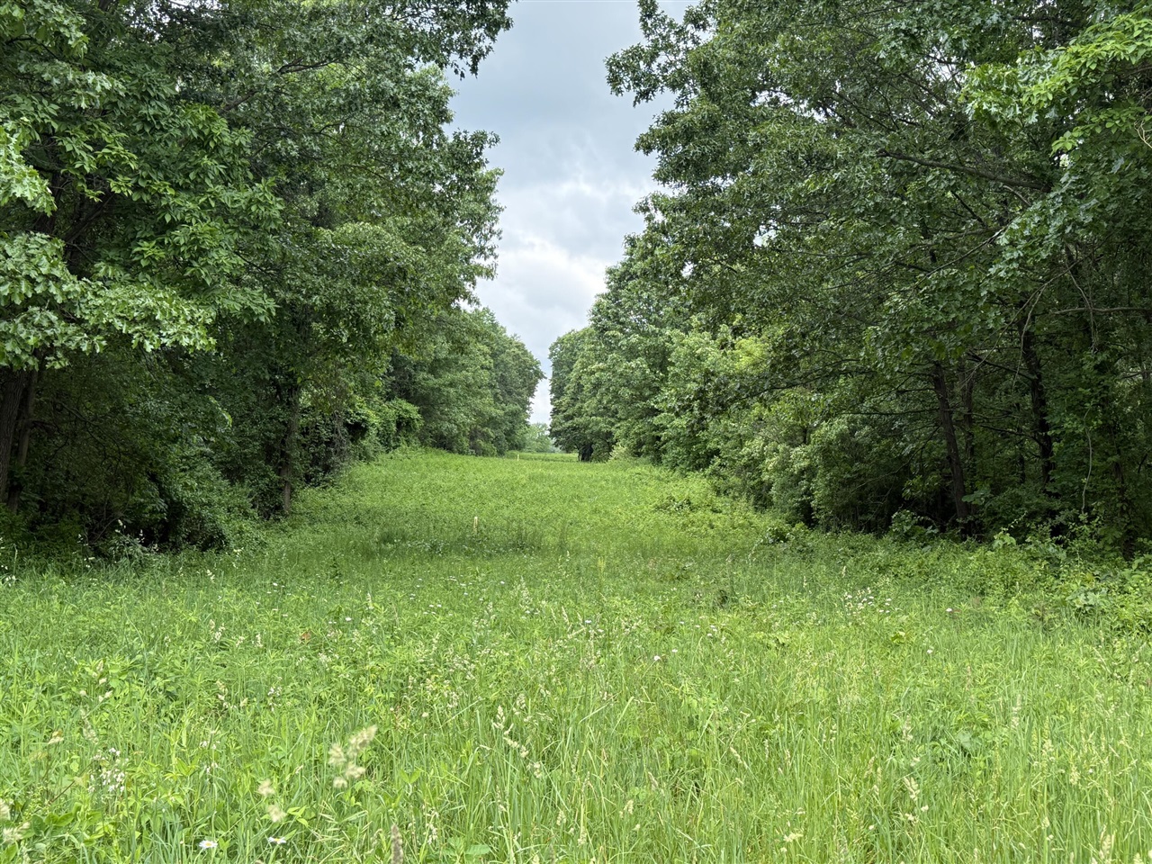 28 28 Mile Road Battle Creek, MI 49014 - Photo 4 of 5