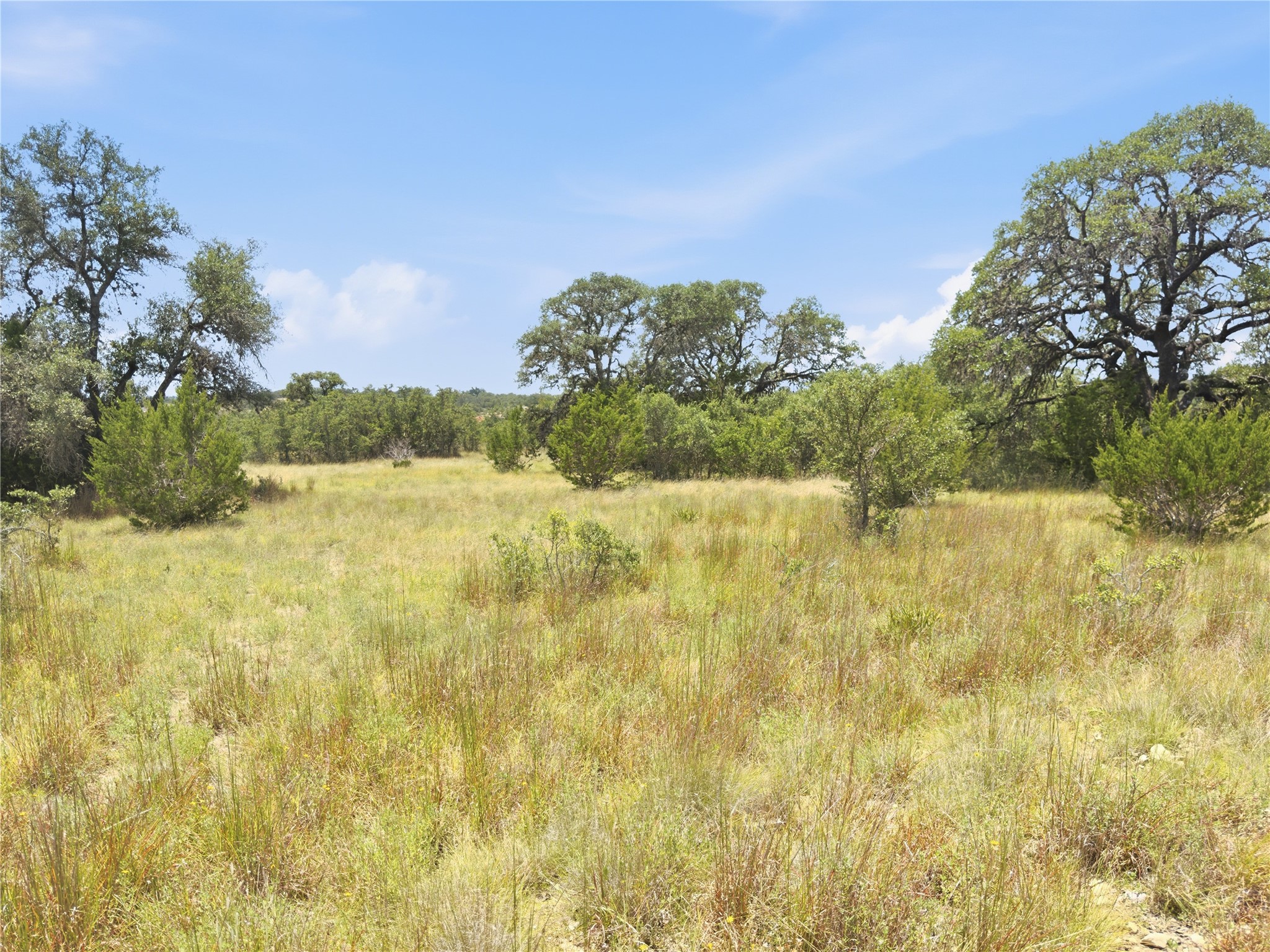 963 Summit Ridge Trail Johnson City, TX 78636 - Photo 19 of 30 Generous open pastures await your architectural vision, framed by mature trees under a vast sky.