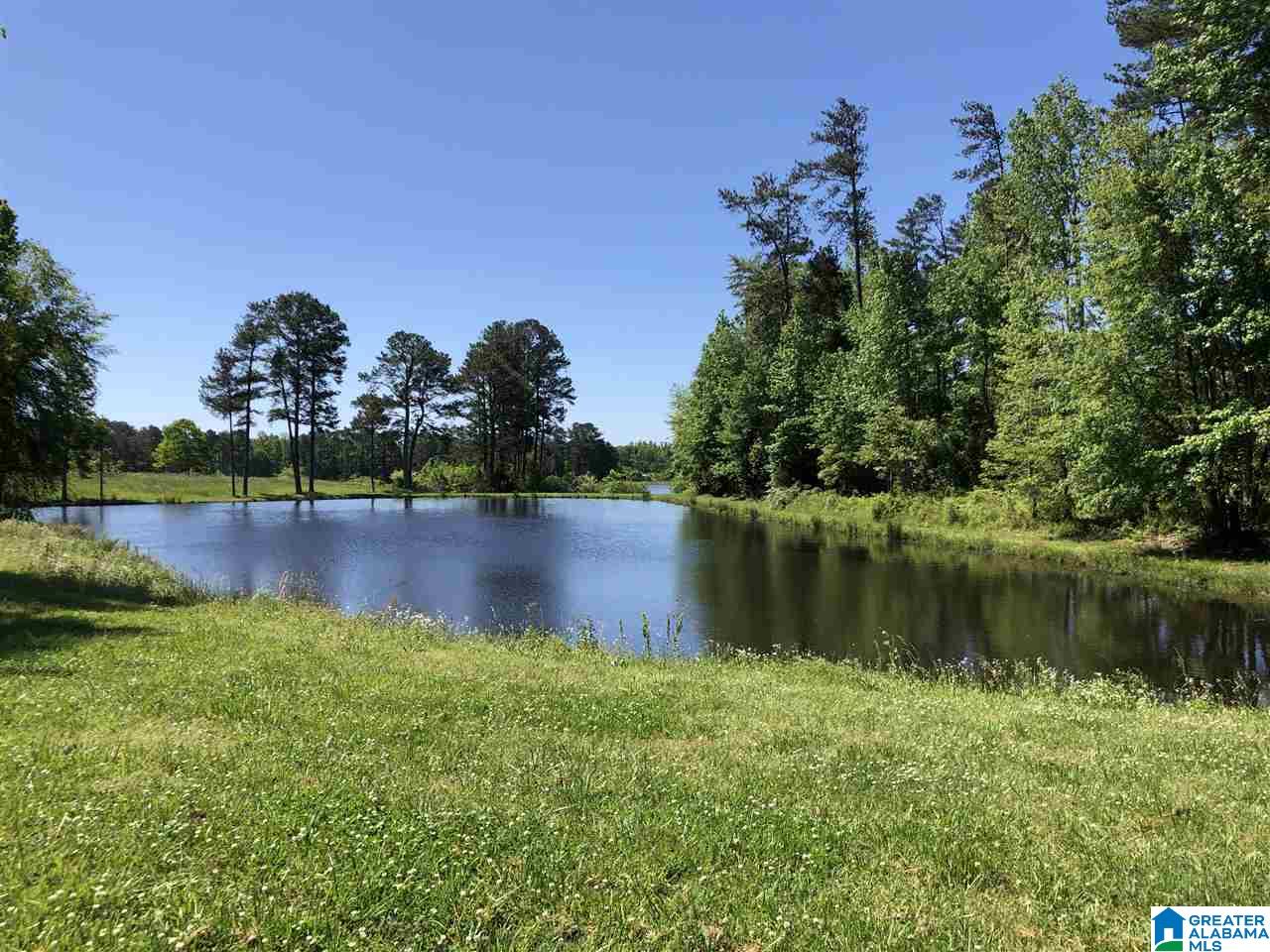 2676 Airport Road Oneonta, AL 35121 - Photo 5 of 14