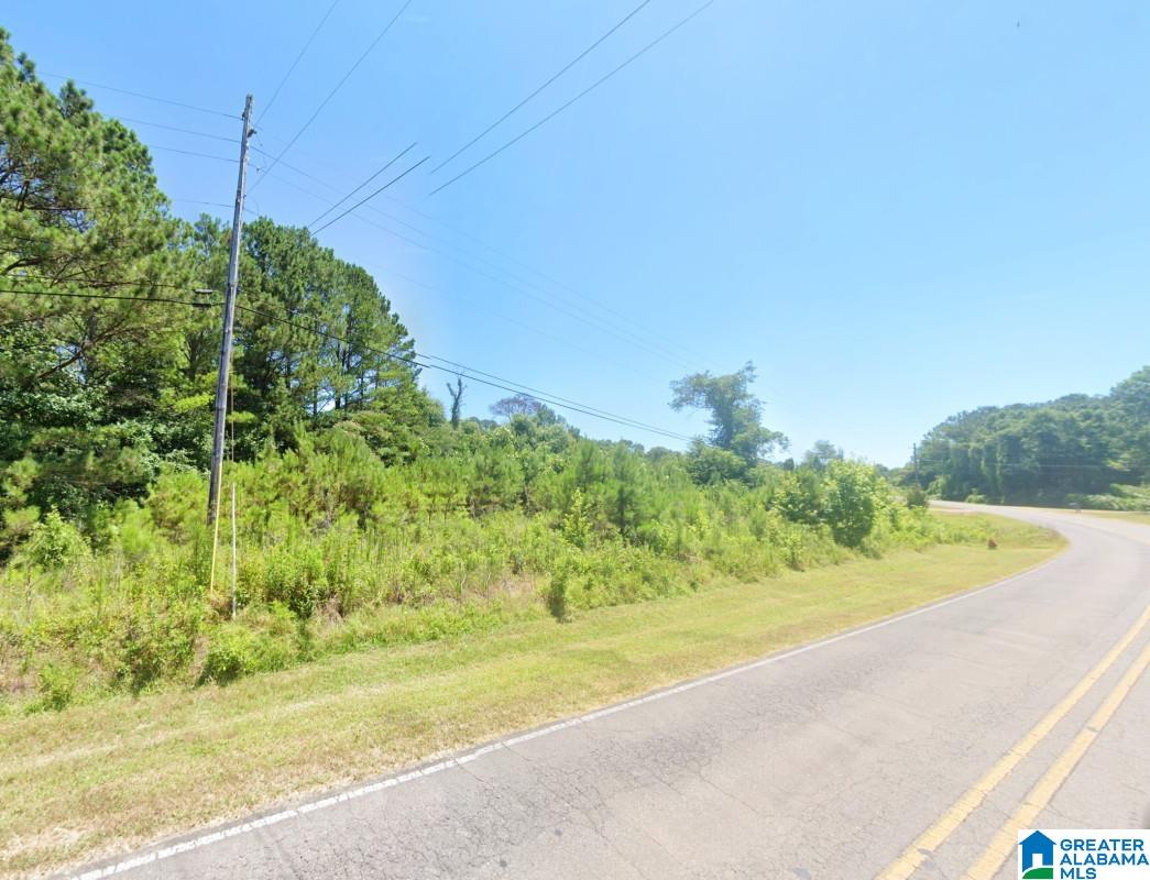 0 Redmill Saragossa Road Nauvoo, AL 35578 - Photo 9 of 13