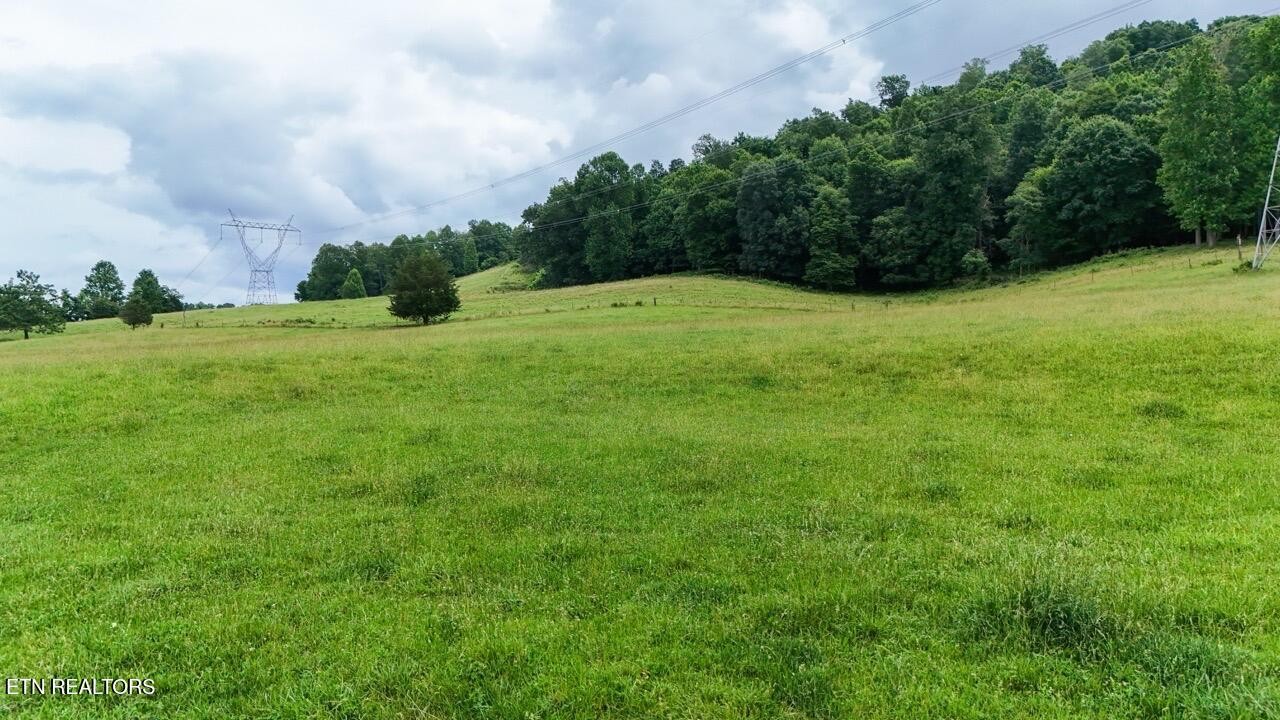 5 Frog Level Road Johnson City, TN 37615 - Photo 11 of 19
