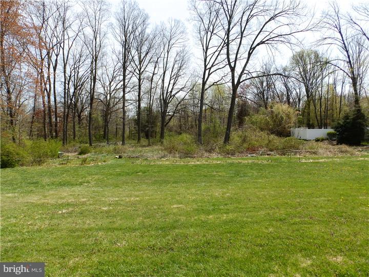 55 Fern Road Southampton, PA 18966 - Photo 4 of 12 Back Yard
