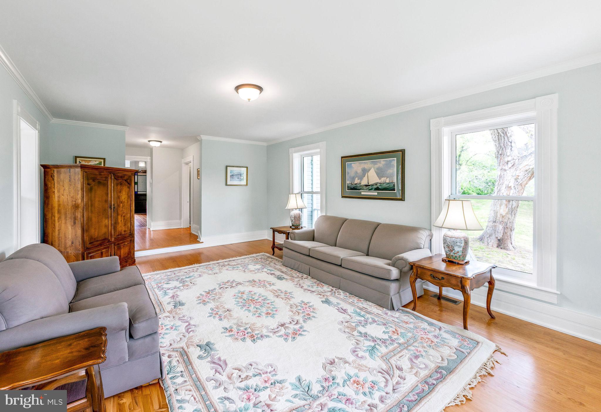 558 Gay Street Washington, VA 22747 - Photo 17 of 52 a living room with furniture and a rug