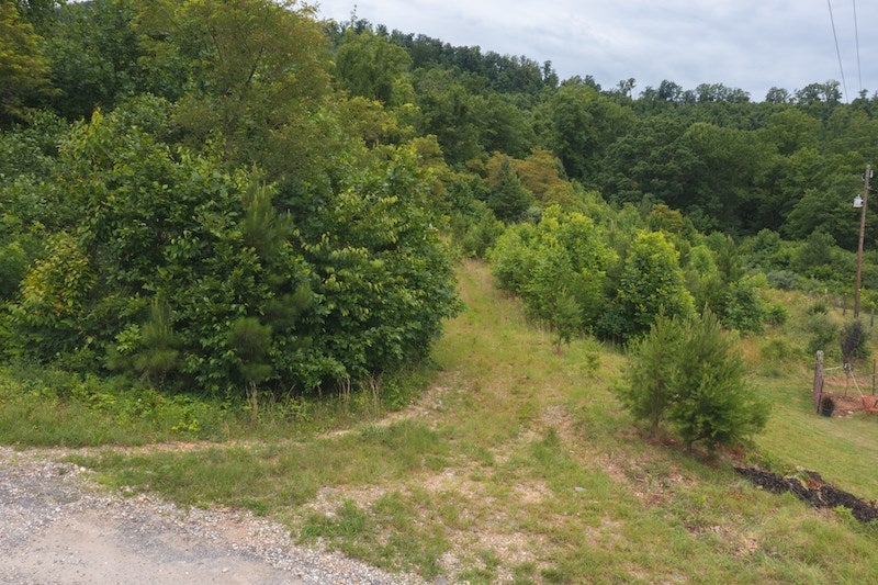 Tbd Belcher Mountain Road Woolwine, VA 24185 - Photo 5 of 25 Gallery Image 5