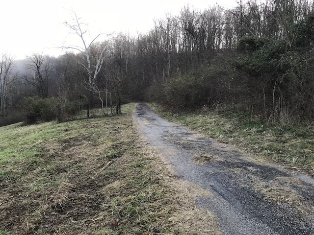 3040 Dover Minerva Road Dover, KY 41034 - Photo 7 of 30 Gallery Image 7