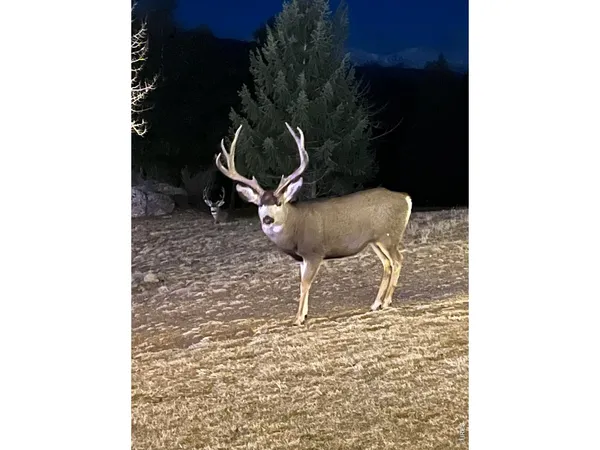 $7,595,000 | 6917 Timbers Drive, Evergreen, CO 80439