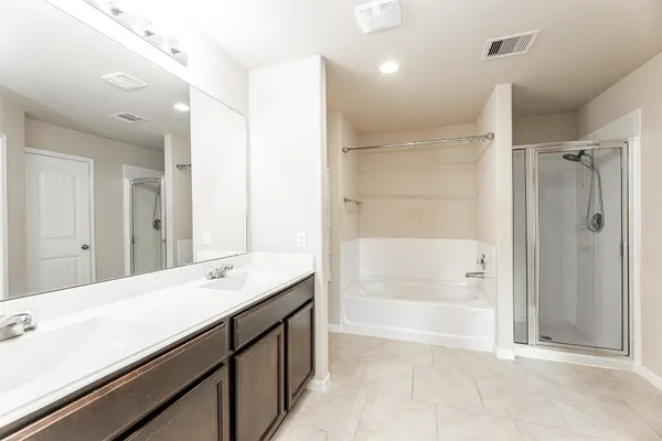 a bathroom with a tub sink shower and a mirror