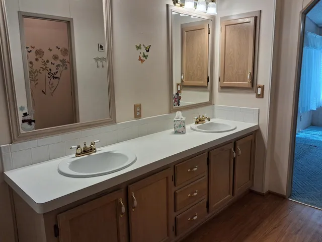 a bathroom with a sink double vanity and a mirror