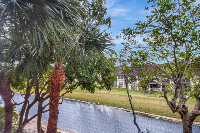 a view of a yard with plants