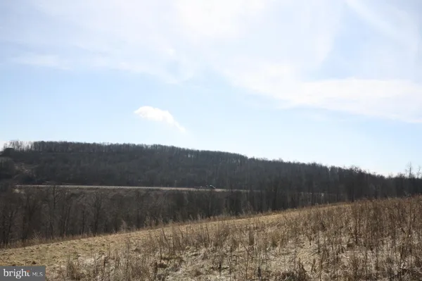 $360,000 | 1305 Pigs Ear Road, Grantsville, MD 21536