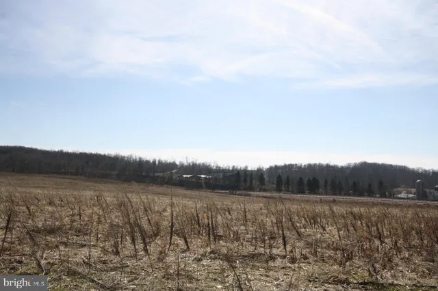 $360,000 | 1305 Pigs Ear Road, Grantsville, MD 21536