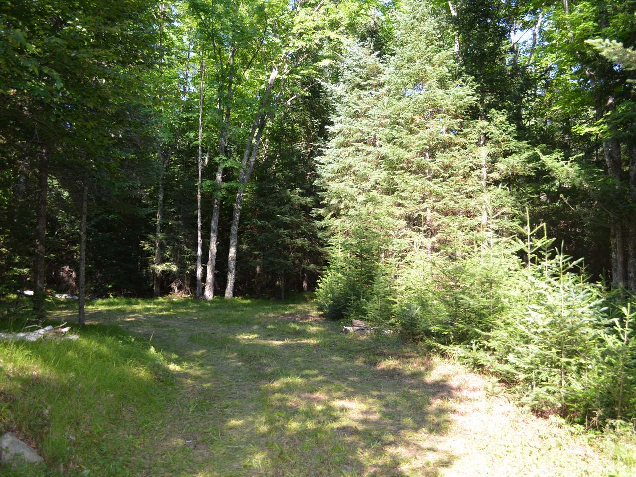 N10928 Mail Rte Road Tomahawk, WI 54487 - Photo 18 of 22 Gallery Image 18