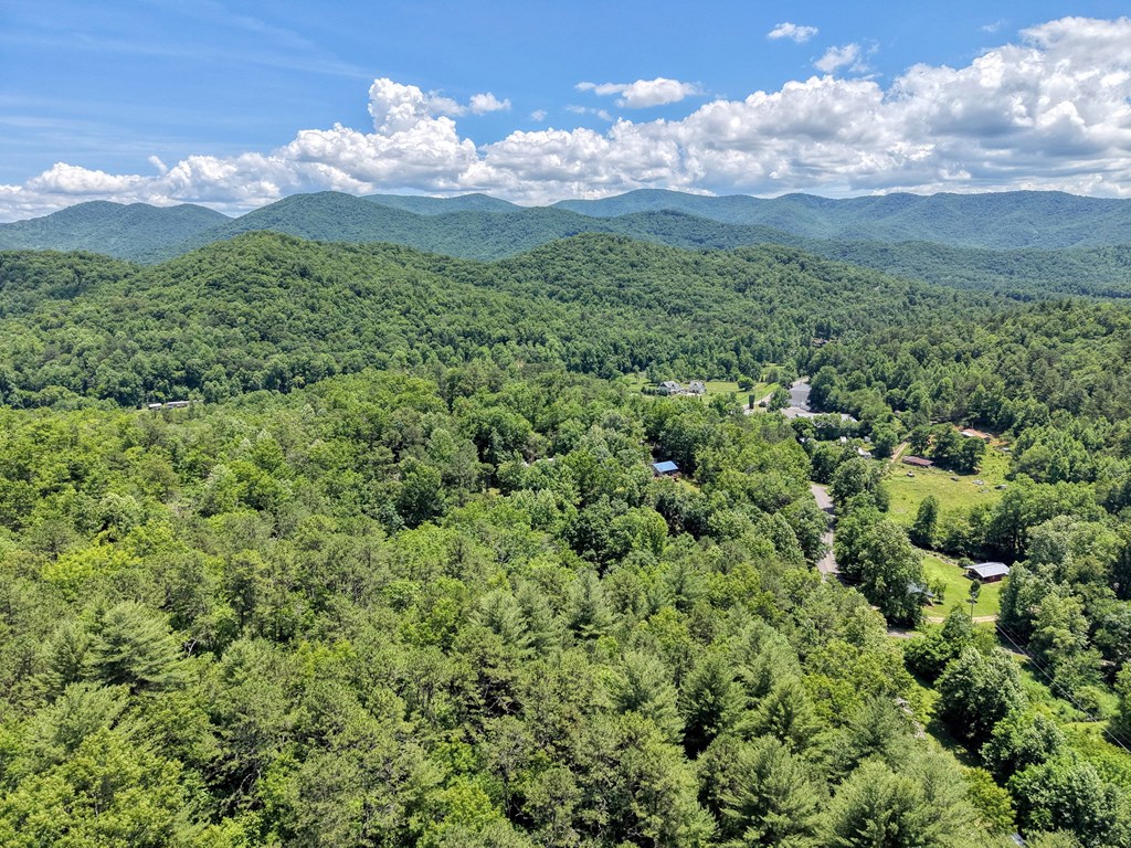 4777 Laurel Mountain Road Hiawassee, GA 30546 - Photo 29 of 34