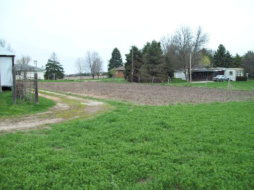 1320 East 16th Road Streator, IL 61364 - Photo 9 of 16 a view of green field with trees