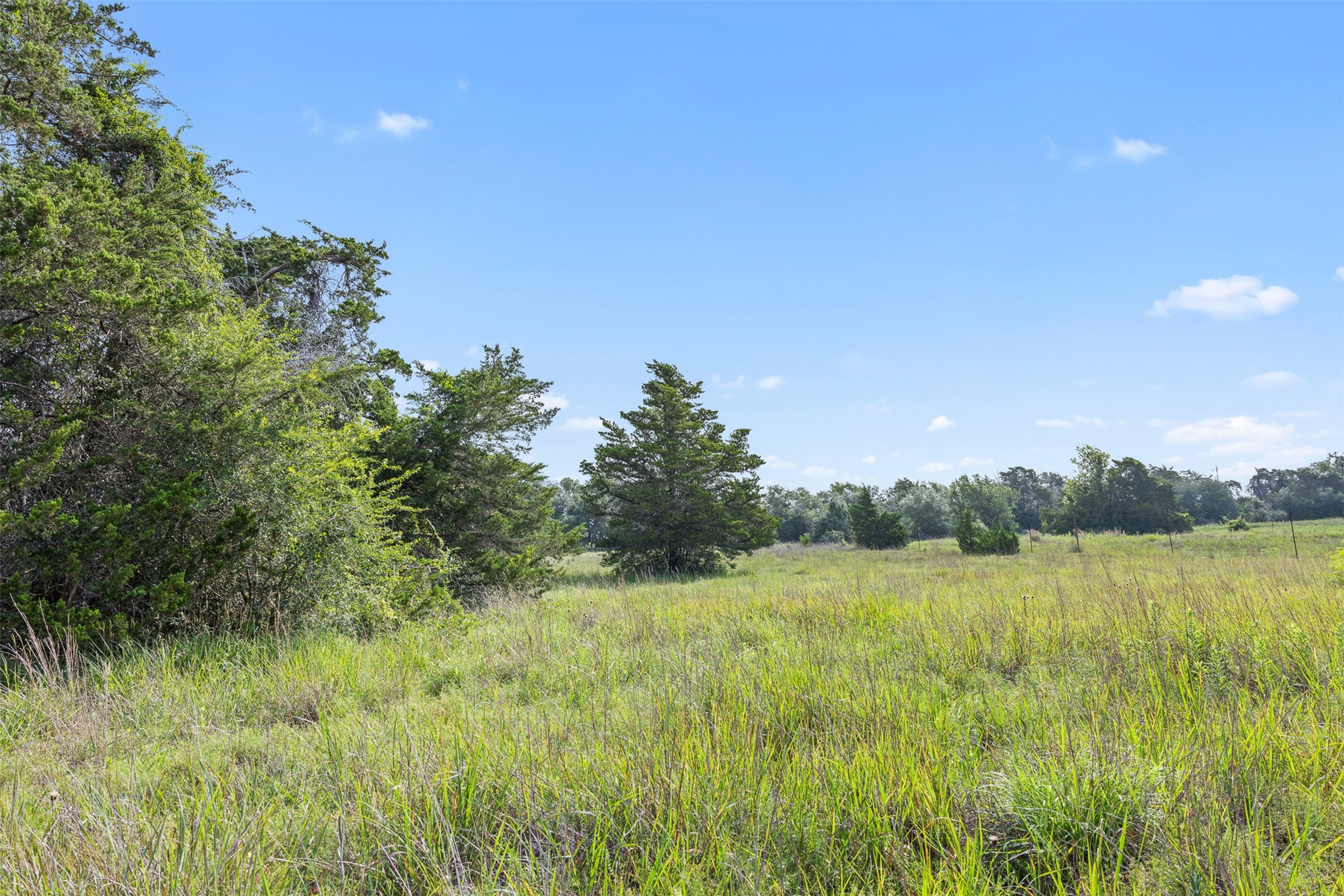 0 Schuster Road Round Top, TX 78954 - Photo 15 of 26