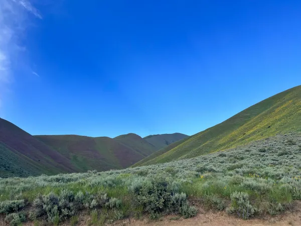 $775,000 | Tbd Approximately Glenbrook Drive, Hailey, ID 83333