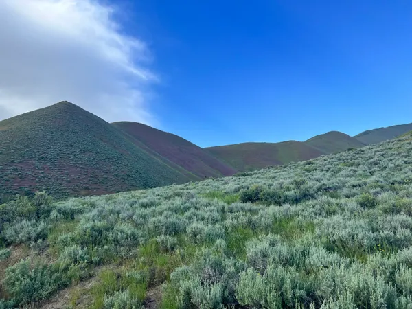$775,000 | Tbd Approximately Glenbrook Drive, Hailey, ID 83333