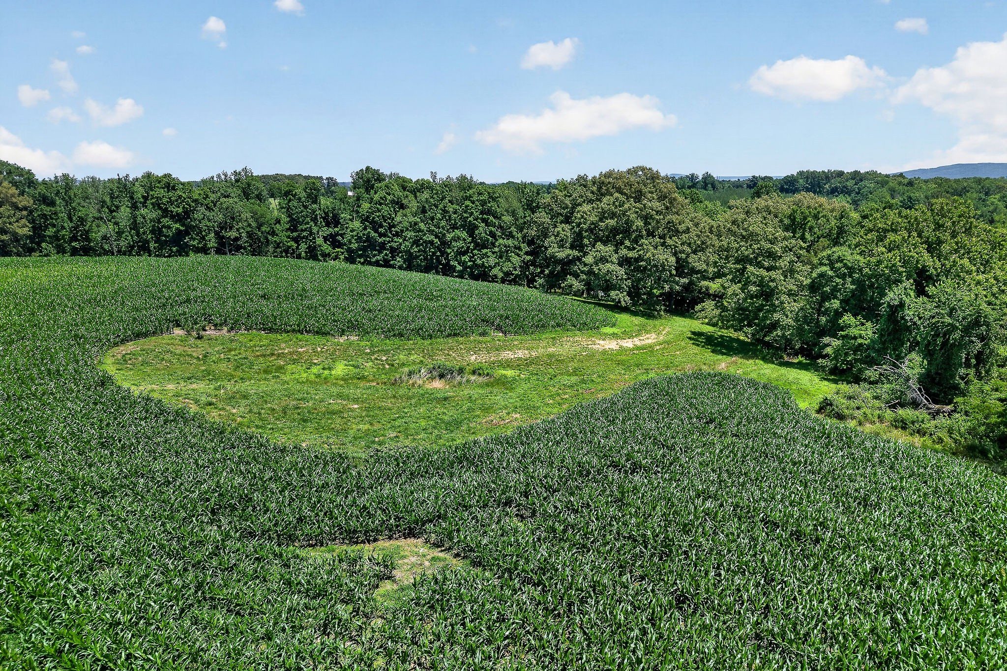 2531 Old Well Road Morrison, TN 37357 - Photo 55 of 63