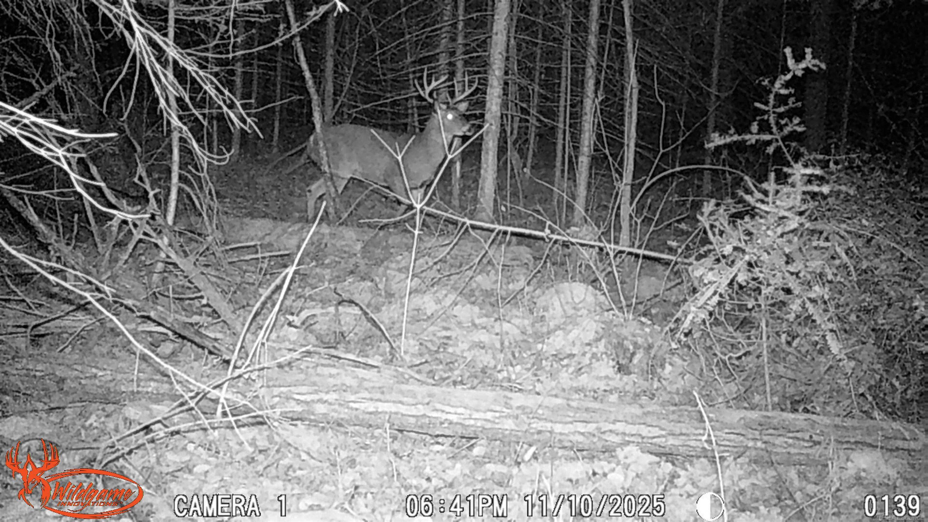 Xxx Tolan Road Spruce, MI 48762 - Photo 3 of 79