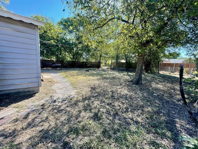 a view of a backyard with a tree