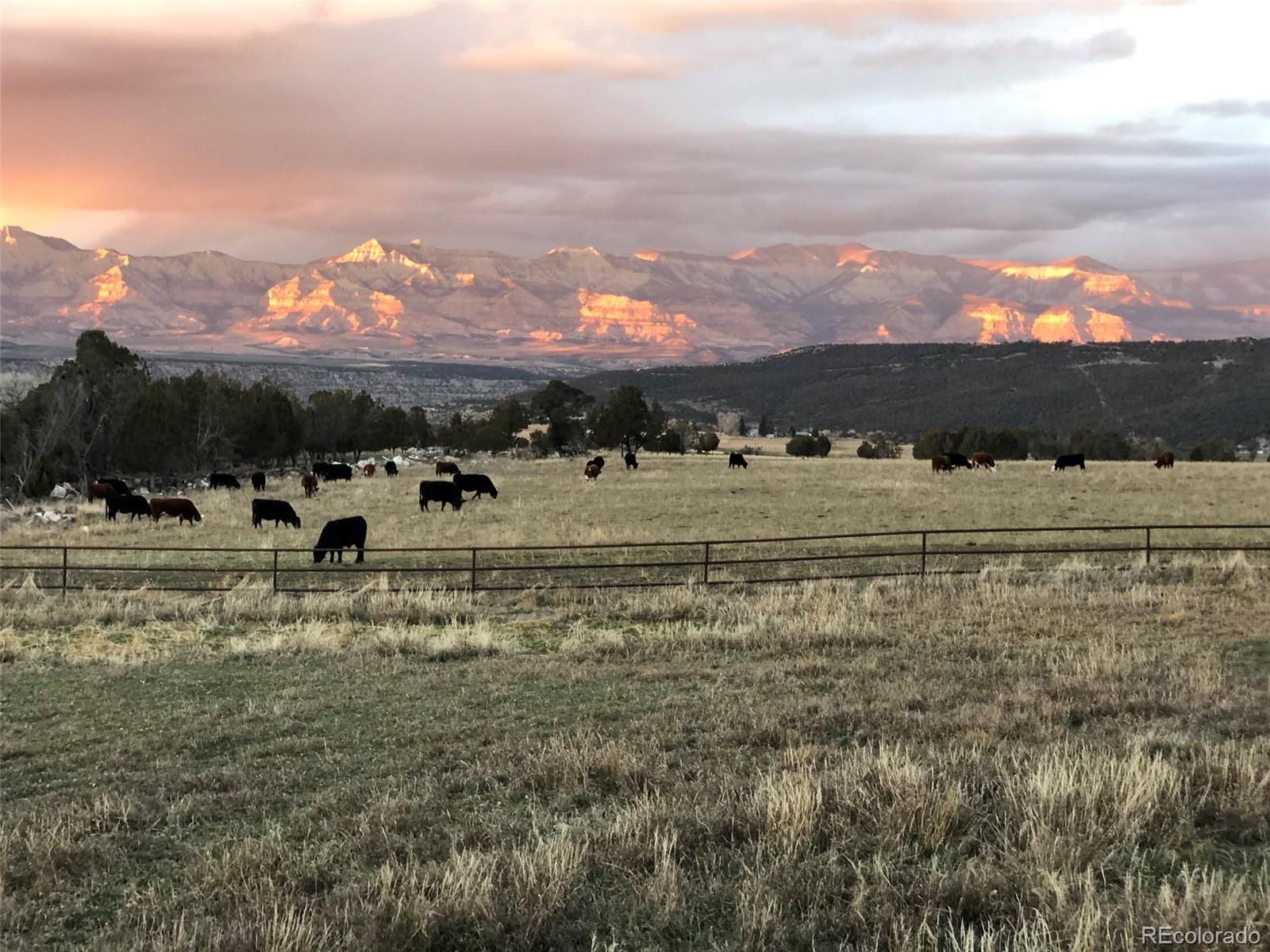 10497-54 54 7/10 Road Molina, CO 81646 - Photo 38 of 45 a view of a town with mountains