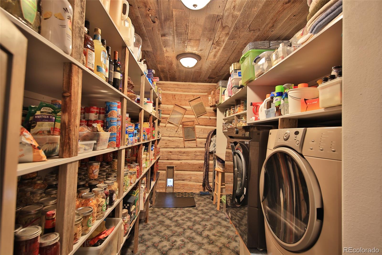 10497-54 54 7/10 Road Molina, CO 81646 - Photo 10 of 45 a view of storage and utility room