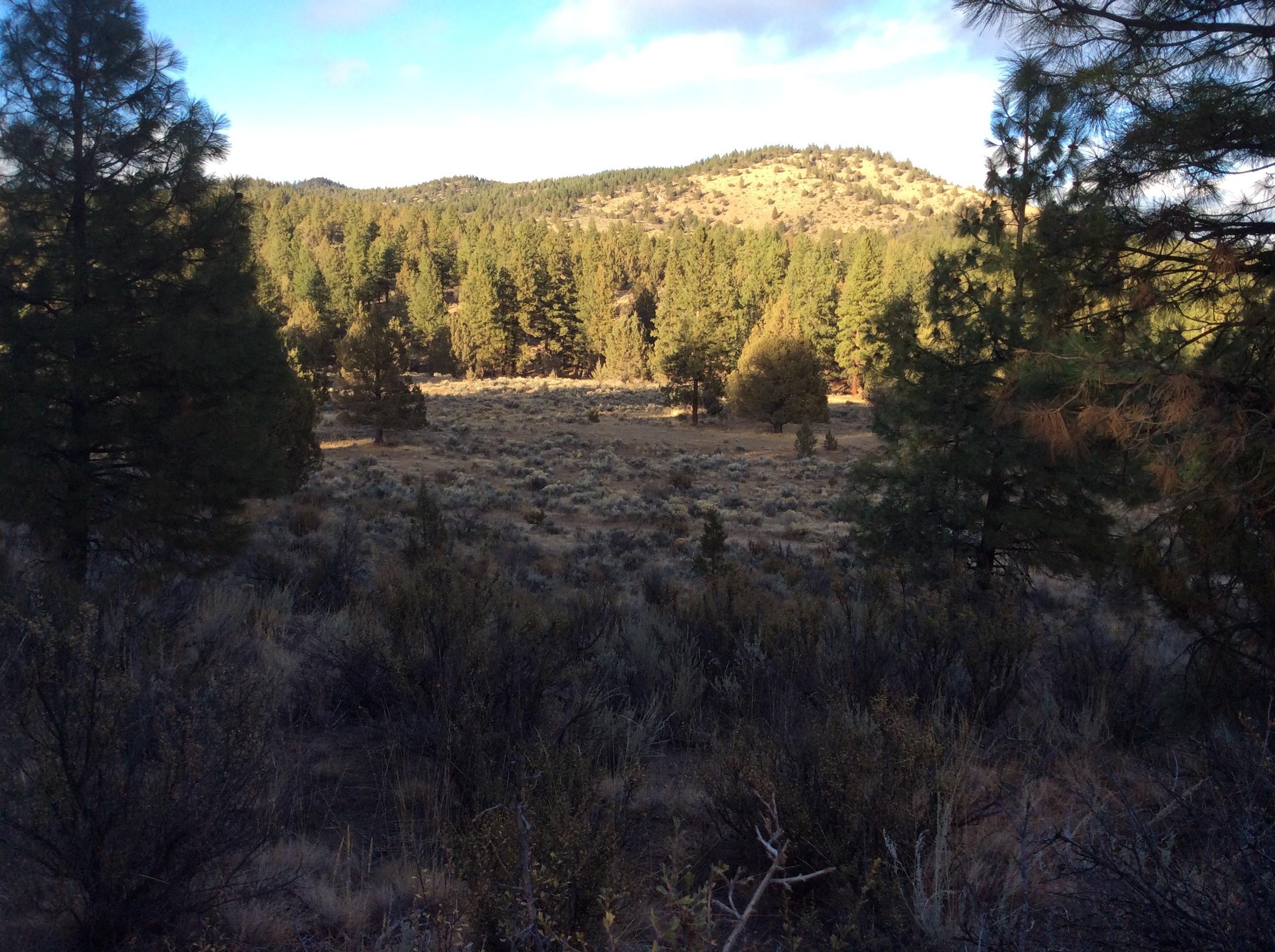 Nka Ferguson Mountain Road Beatty, OR 97621 - Photo 5 of 10 IMG_2583
