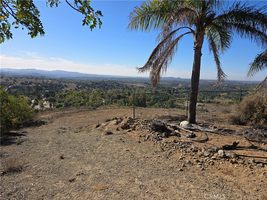 1387 Las Vistas Road Fallbrook, CA 92028 - Photo 11 of 26 a view of beach with a palm tree