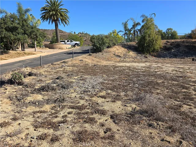 a view of a dry yard with trees