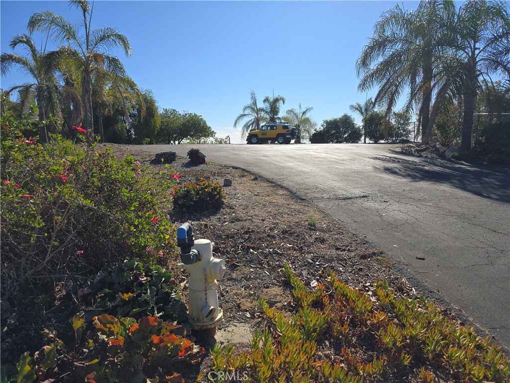 1387 Las Vistas Road Fallbrook, CA 92028 - Photo 14 of 26 a view of a dry yard with trees