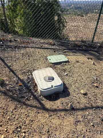 a close up of a tree