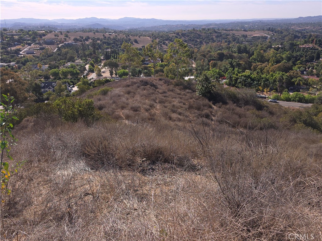1387 Las Vistas Road Fallbrook, CA 92028 - Photo 17 of 26 a view of a dry yard