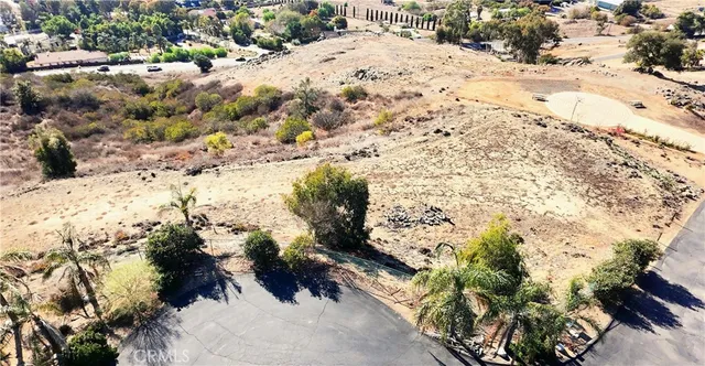a view of a dry yard with and trees