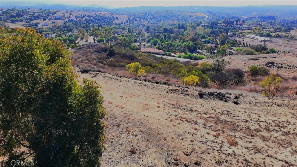 1387 Las Vistas Road Fallbrook, CA 92028 - Photo 19 of 26 a view of a dry yard with and trees