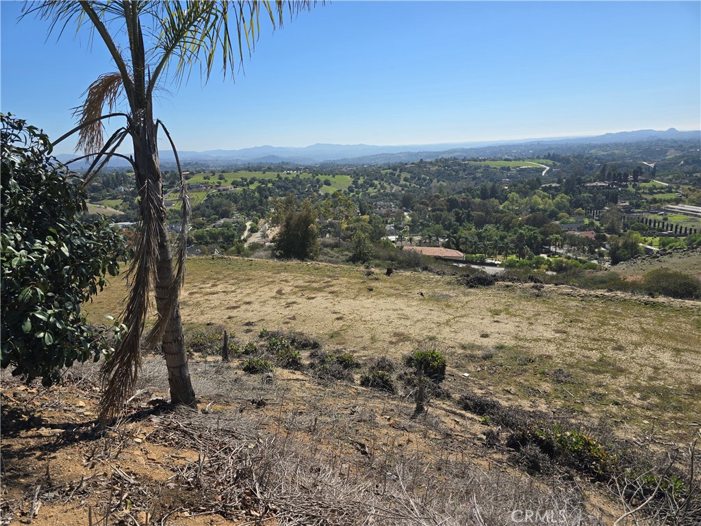 1387 Las Vistas Road Fallbrook, CA 92028 - Photo 22 of 26 a view of a yard with a tree