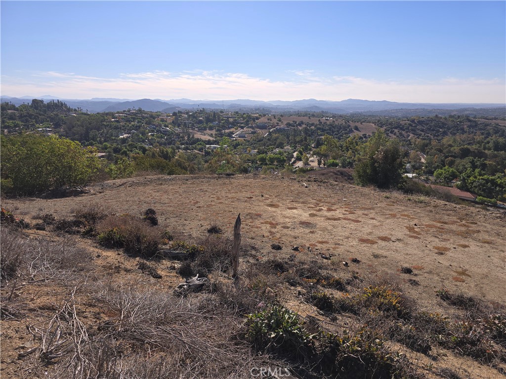1387 Las Vistas Road Fallbrook, CA 92028 - Photo 8 of 26 a view of a dry yard with mountains in the background