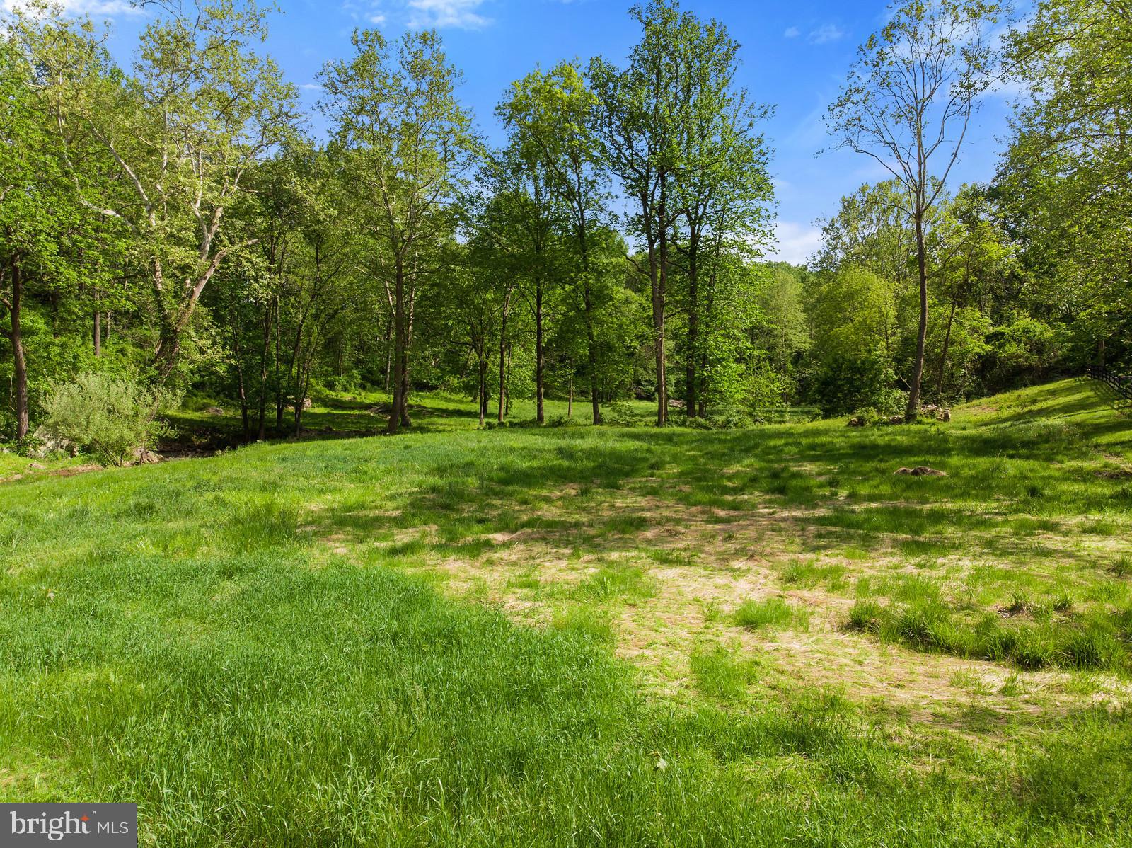 1847 Leeds Manor Road Delaplane, VA 20144 - Photo 42 of 45 Gallery Image 42