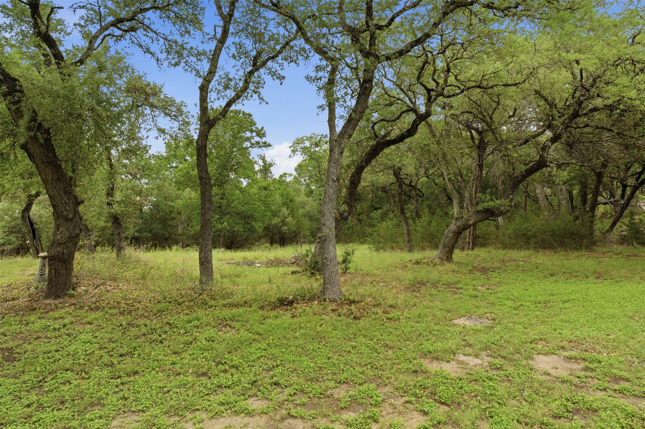 1301 County Road 262 Georgetown, TX 78633 - Photo 35 of 39 Expansive natural landscape featuring mature trees with verdant foliage