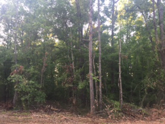 0 Craig Road Blythe, GA 30805 - Photo 1 of 5 Main View