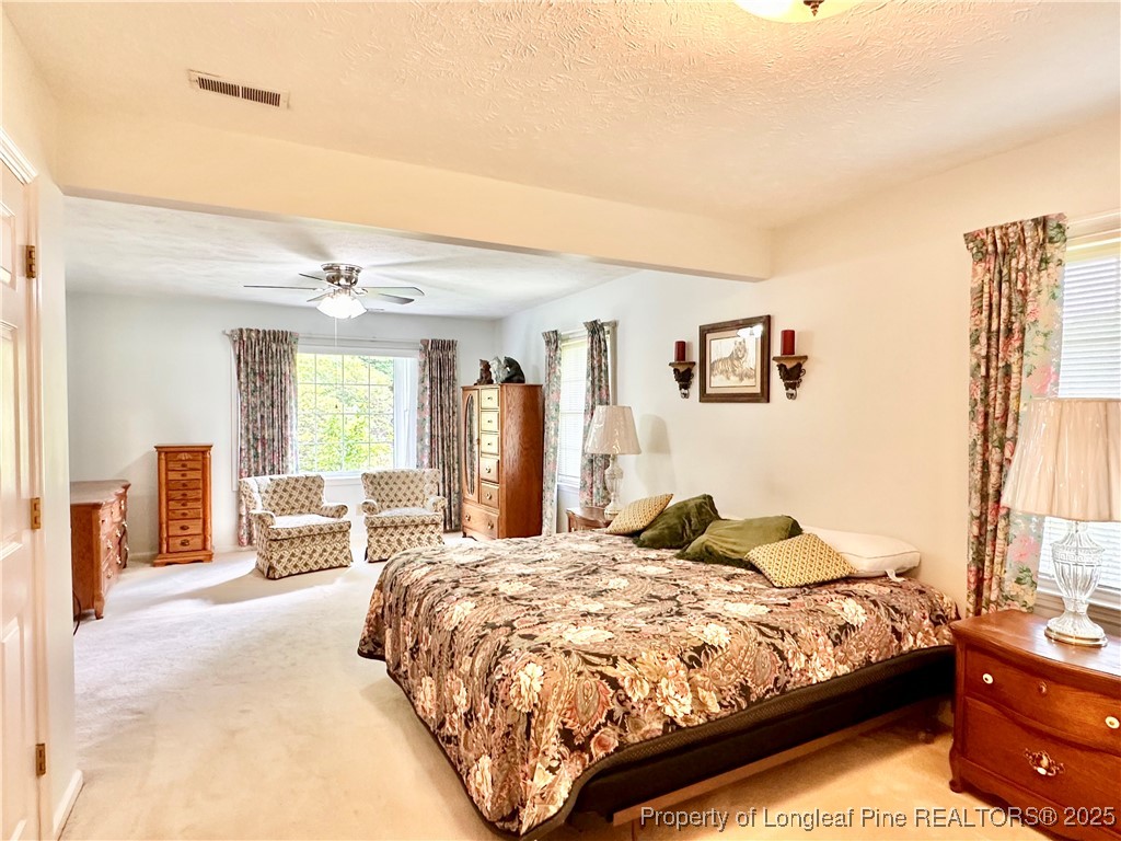 815 Whispering Pines Road Fayetteville, NC 28311 - Photo 20 of 38 a bedroom with a large bed and a chandelier