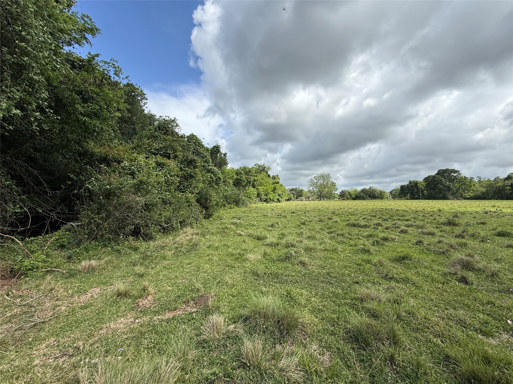 6827 Bryan Road Freeport, TX 77541 - Photo 4 of 7