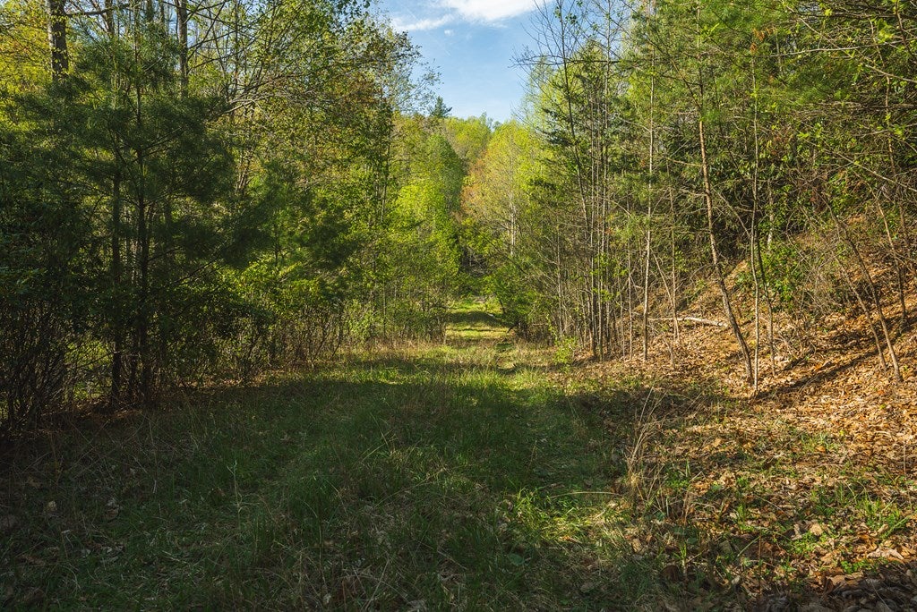 Tbd Black Ridge Road Southwest Floyd, VA 24091 - Photo 34 of 38 Gallery Image 34