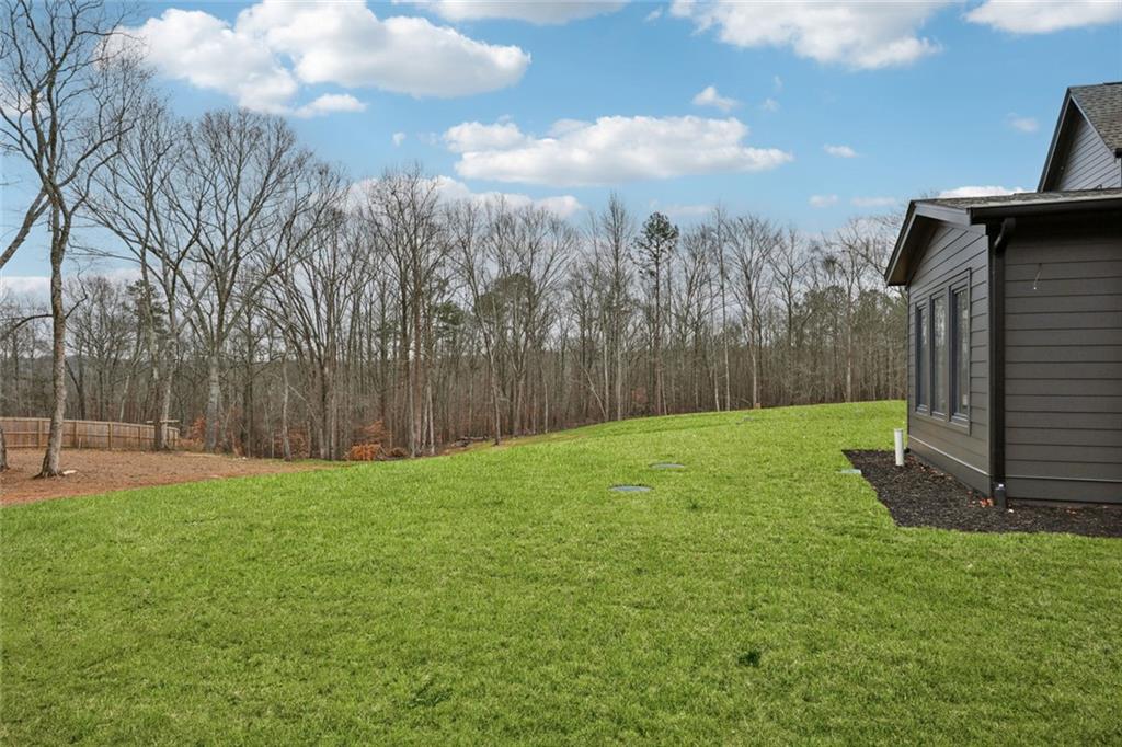 24 Rocking Wood Drive Auburn, GA 30011 - Photo 95 of 101 a view of a backyard with large trees