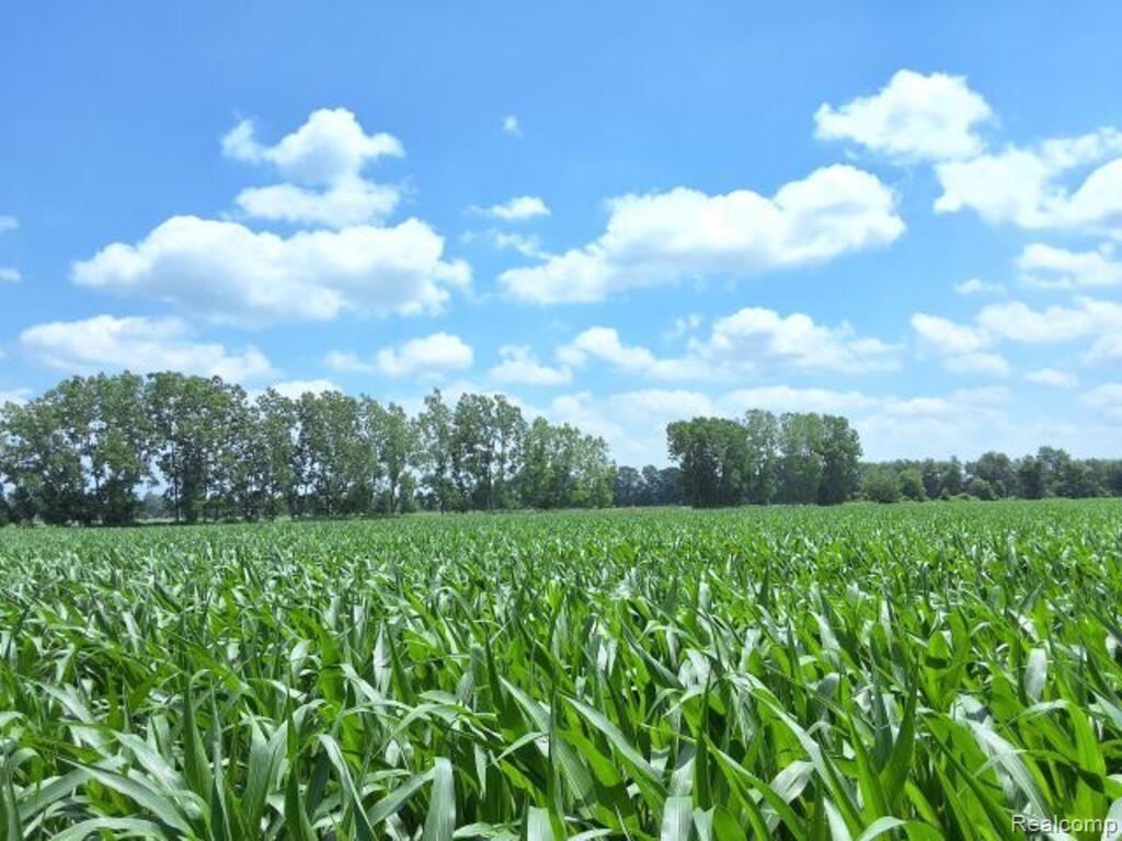 Auction Lot 94 Auction Road Allenton, MI 48002 - Photo 5 of 6