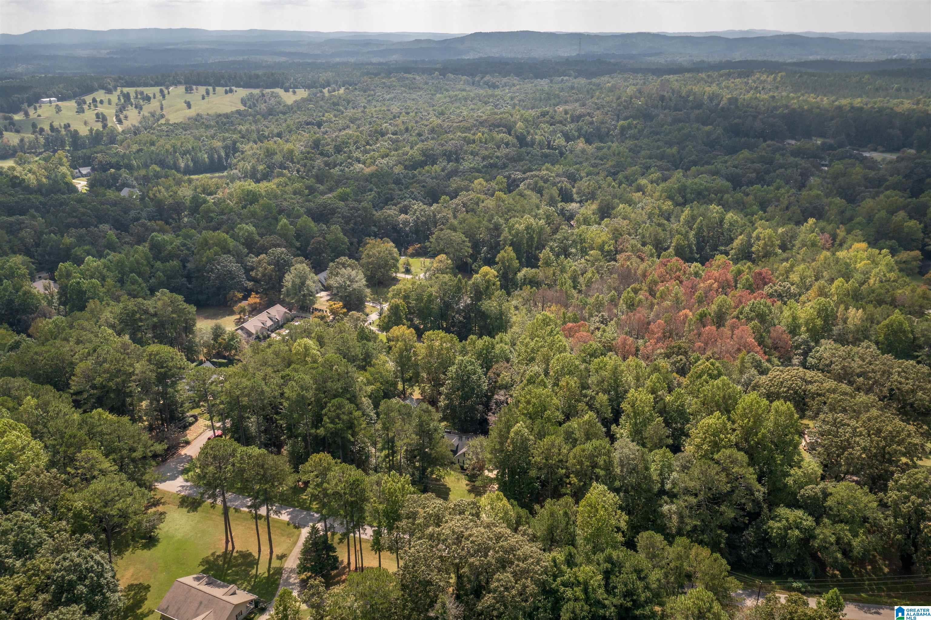 1100 Bells Mill Road Heflin, AL 36264 - Photo 50 of 51