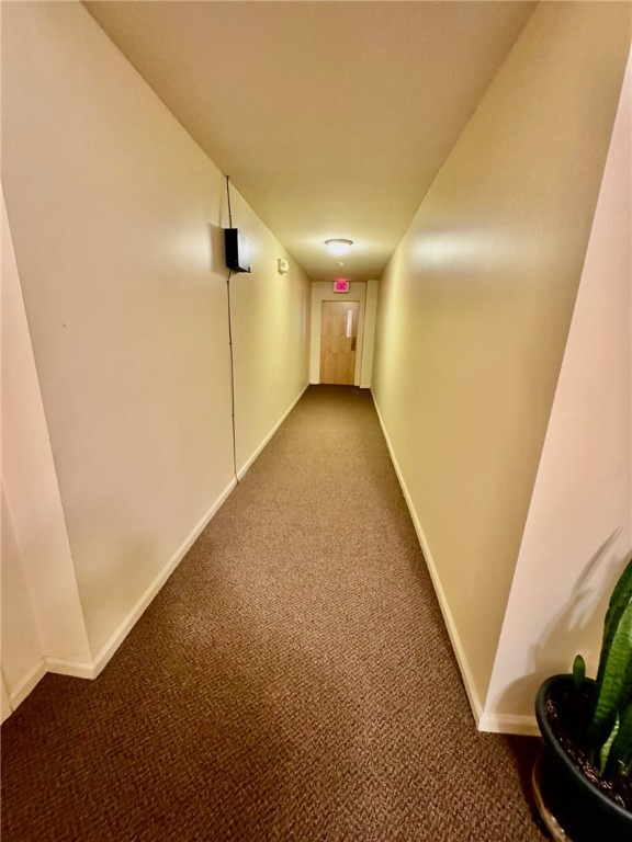 111 Gregory Street Rochester, NY 14620 - Photo 39 of 45 View From Hall Foyer outside unit to Courtyard