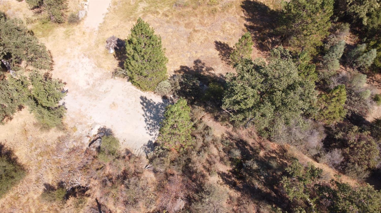 0 Victoria Lane Oakhurst, CA 93644 - Photo 13 of 24