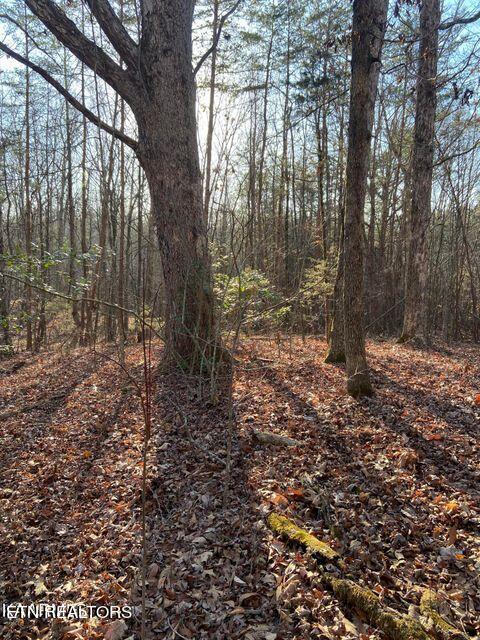 3 Tomotley Road Maryville, TN 37801 - Photo 2 of 3 Tomotley Rd 4