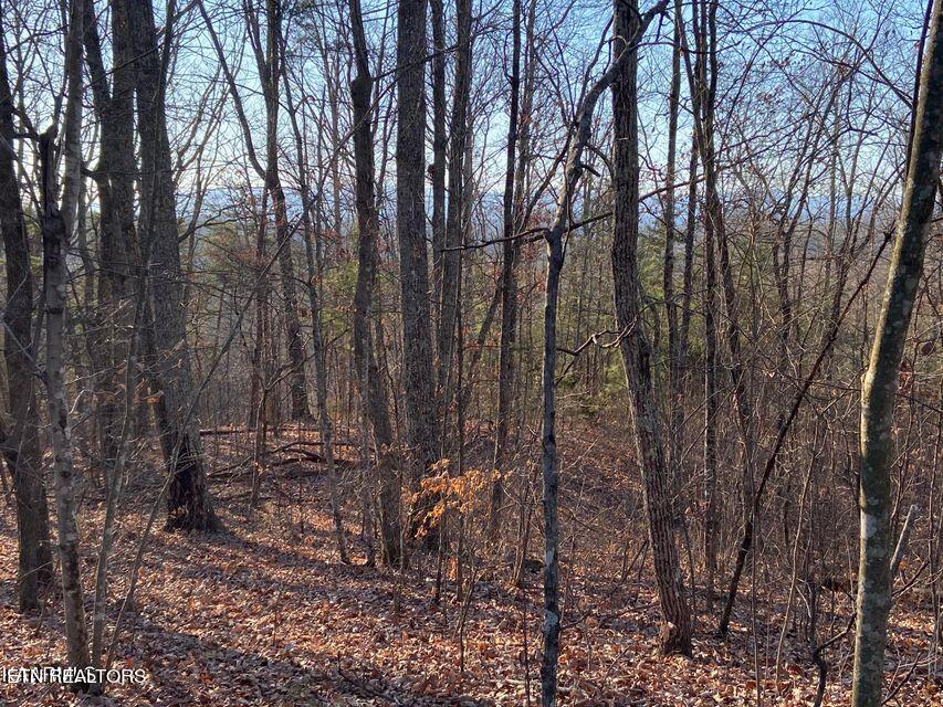 3 Tomotley Road Maryville, TN 37801 - Photo 3 of 3 Tomotley Rd 5