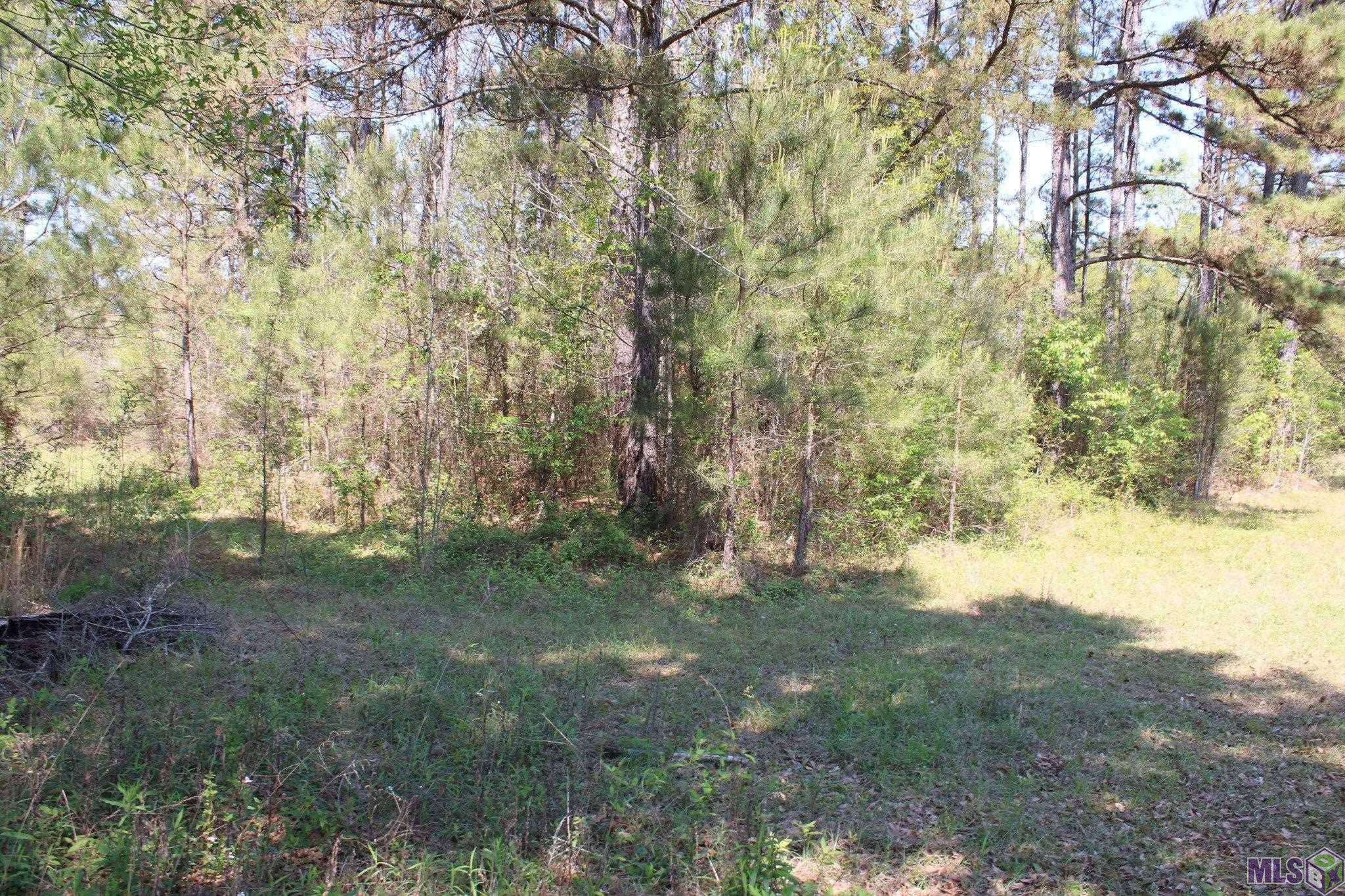 0 Breland Road South Bogalusa, LA 70427 - Photo 12 of 22